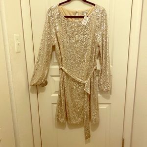 Long sleeve holiday or New Years Sequin Dress